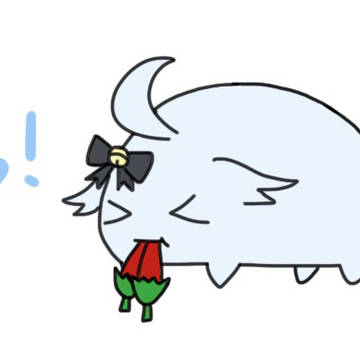 狗妈生日快乐！