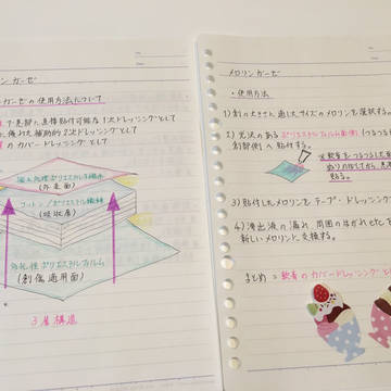 メロリンガーゼ