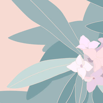 flos