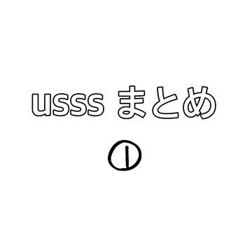 usss まとめ①