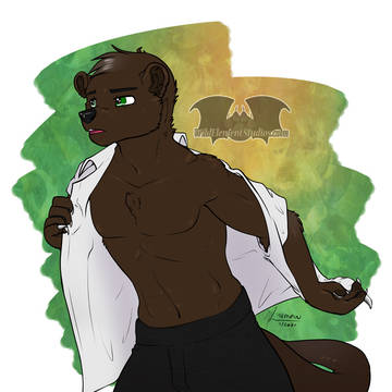 FC2021 - OmniOtter