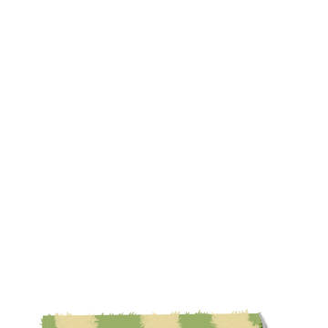 カーペット
