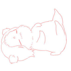 エクササイズはんきゅま