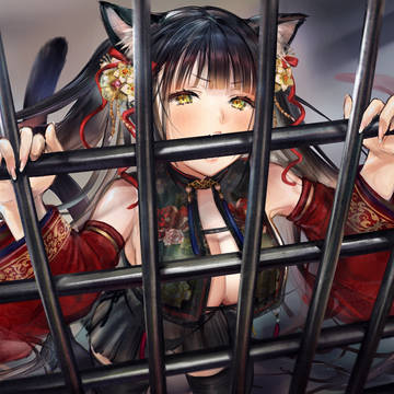 猫