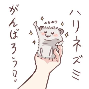がんばろう！ハリネズミ。