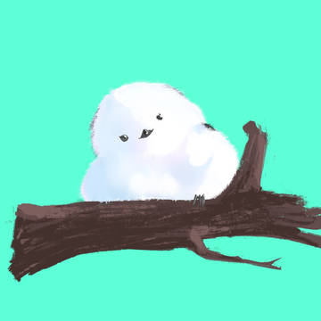 It’s a bird
