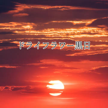 ドライフラワー×黒日