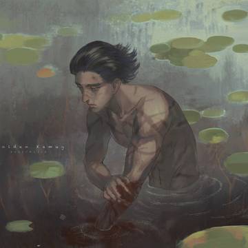 Water Lily