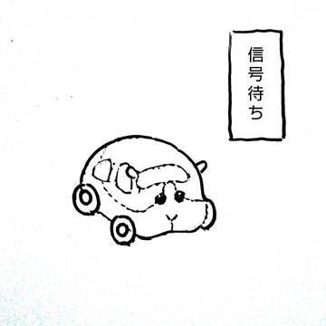 モルカー