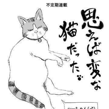 思えば変な猫だった