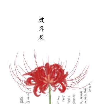 彼岸花　序局(ﾗﾌ)