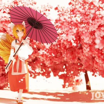 Senko under cherry blossoms