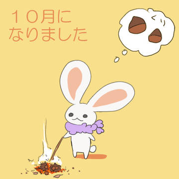 うさ日記