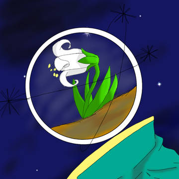星降る夜