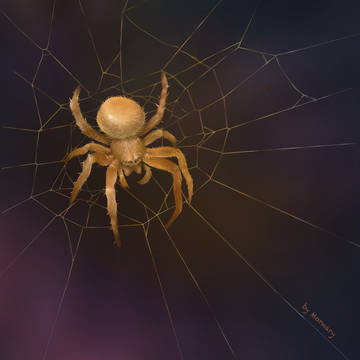 Caramel spider🍭