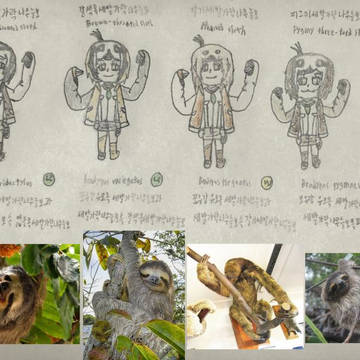 THREE-TOED SLOTHS