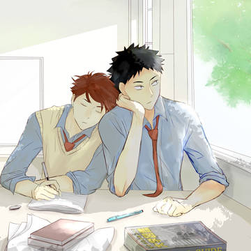 HQ IWAOI LOG