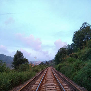 风景