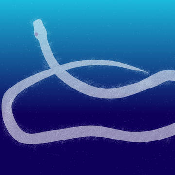 星の蛇