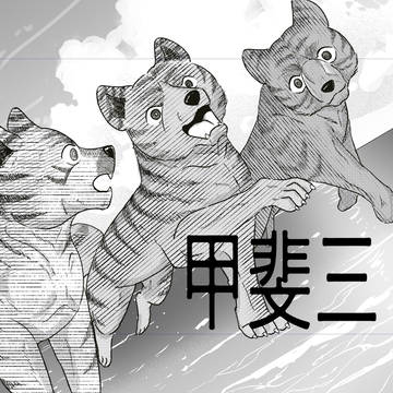 甲斐三