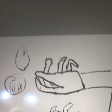 手
