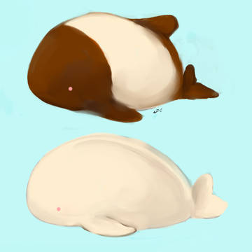 イルカチョコ