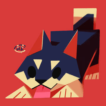 黒柴