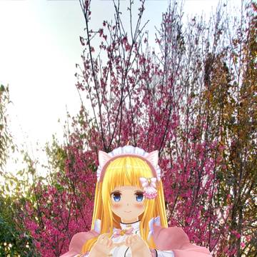 貓娘