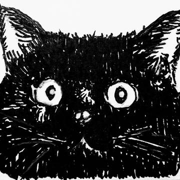ねこ