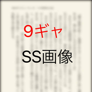 9ギャSS画像