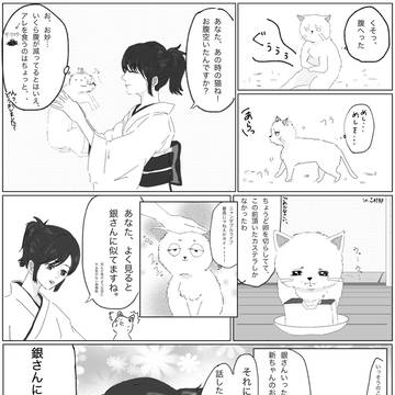 ギン猫 銀妙