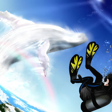 天空ダイバー