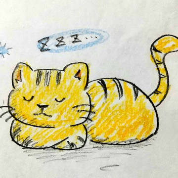 眠猫