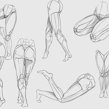 Daily Training #15 (face/legs)