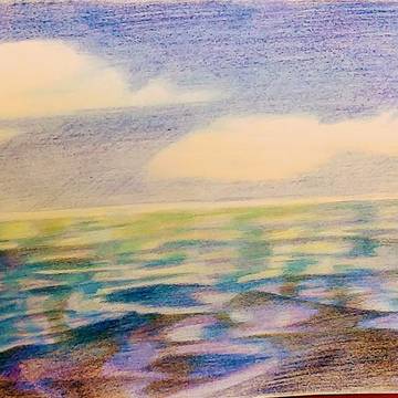海