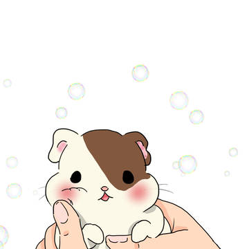 モルモット
