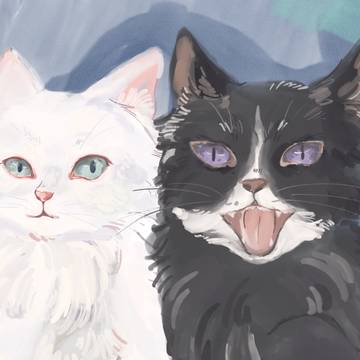 Cats