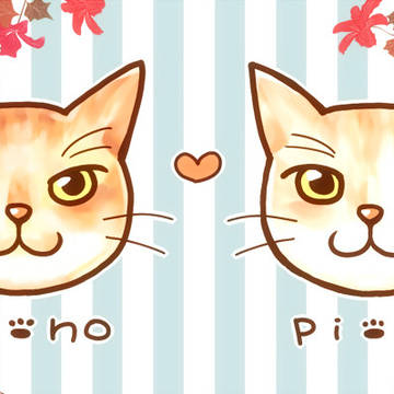 猫ちゃんず
