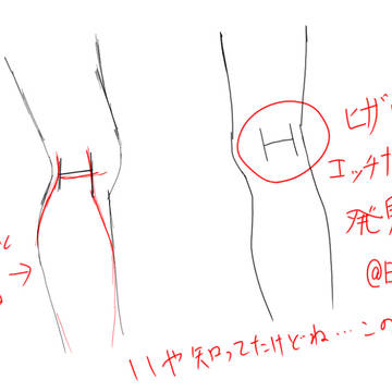 ひざ裏にエッチな箇所発見