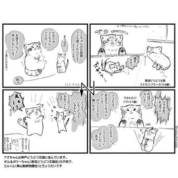 アズ ちゃんのお姉さん大作戦！（サポーター募金2/28〆切り）