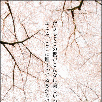 【SS】kmt×近代小説