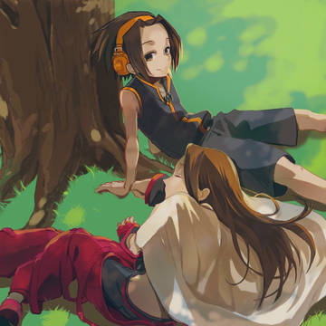 木陰/木漏れ日