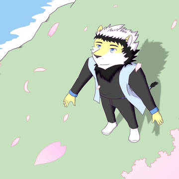 Wilkas交换