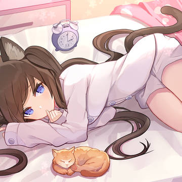 見つめてくるネコ