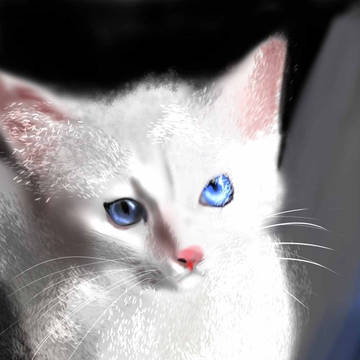 ねこ