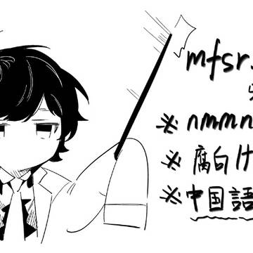 mfsrまとめ 中国語注意