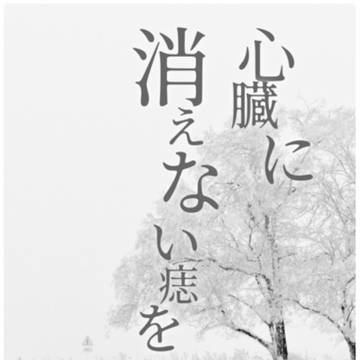 夏五の小説表紙