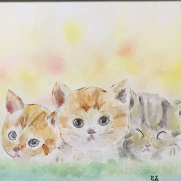 仔猫♡