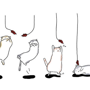 ねこじゃらし