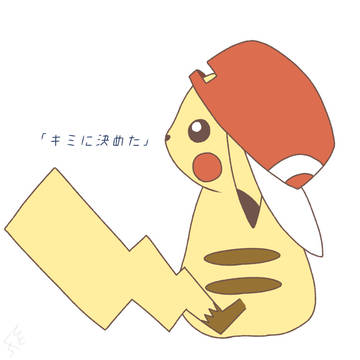 キミに決めた